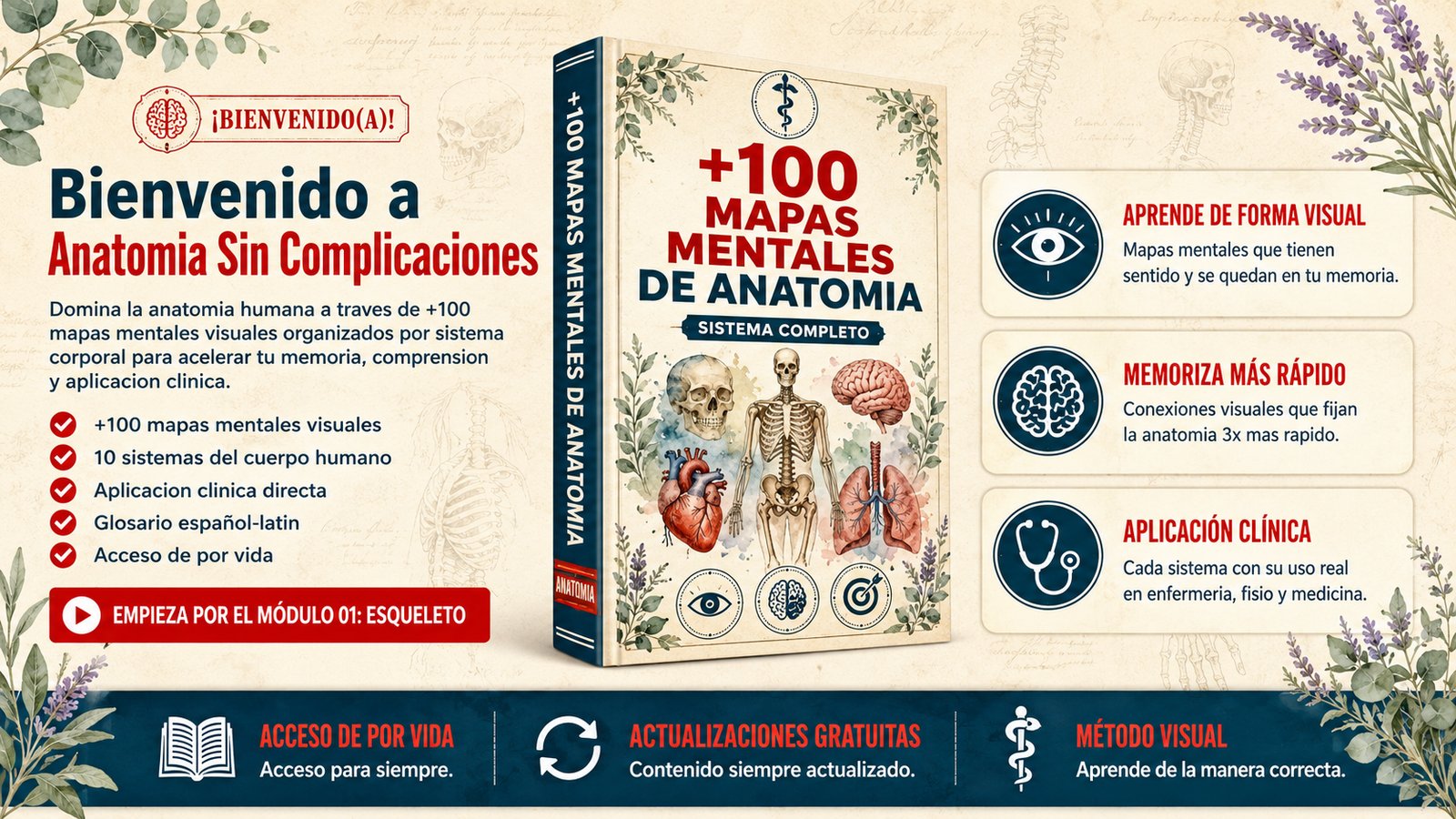 +100 Mapas Mentales de Anatomía Humana