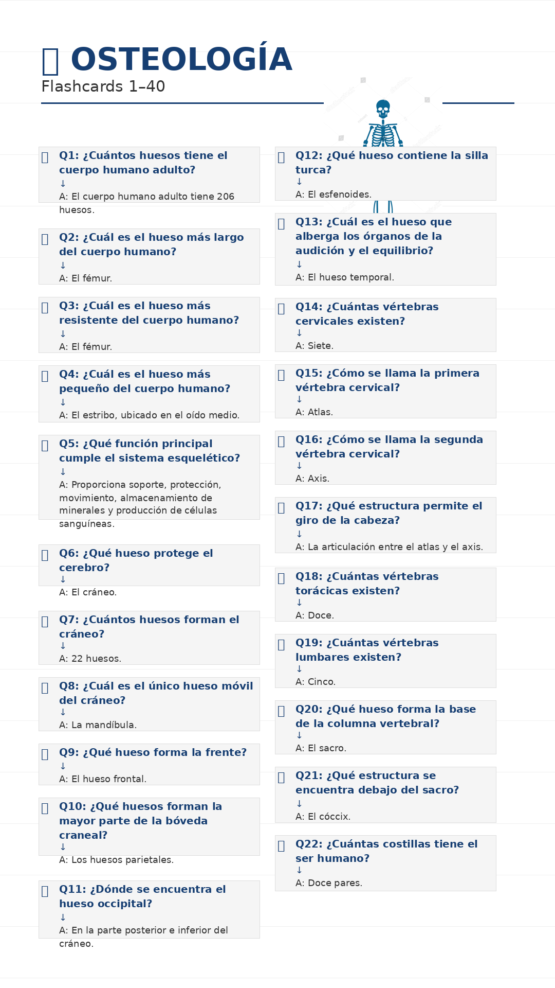 Flashcards de Osteología 1 a 40