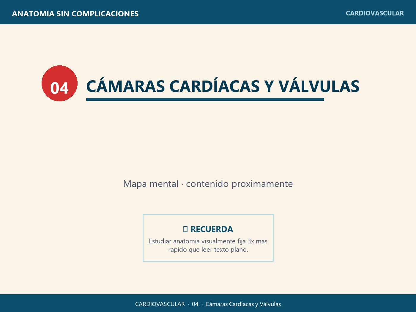 Cámaras Cardíacas y Válvulas