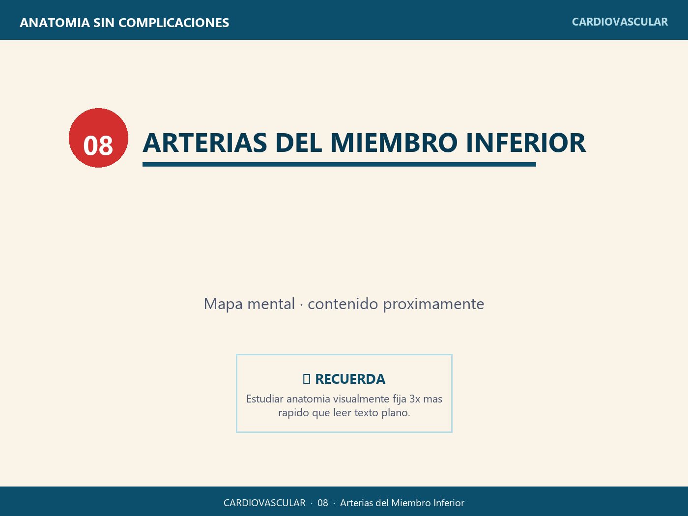 Arterias del Miembro Inferior