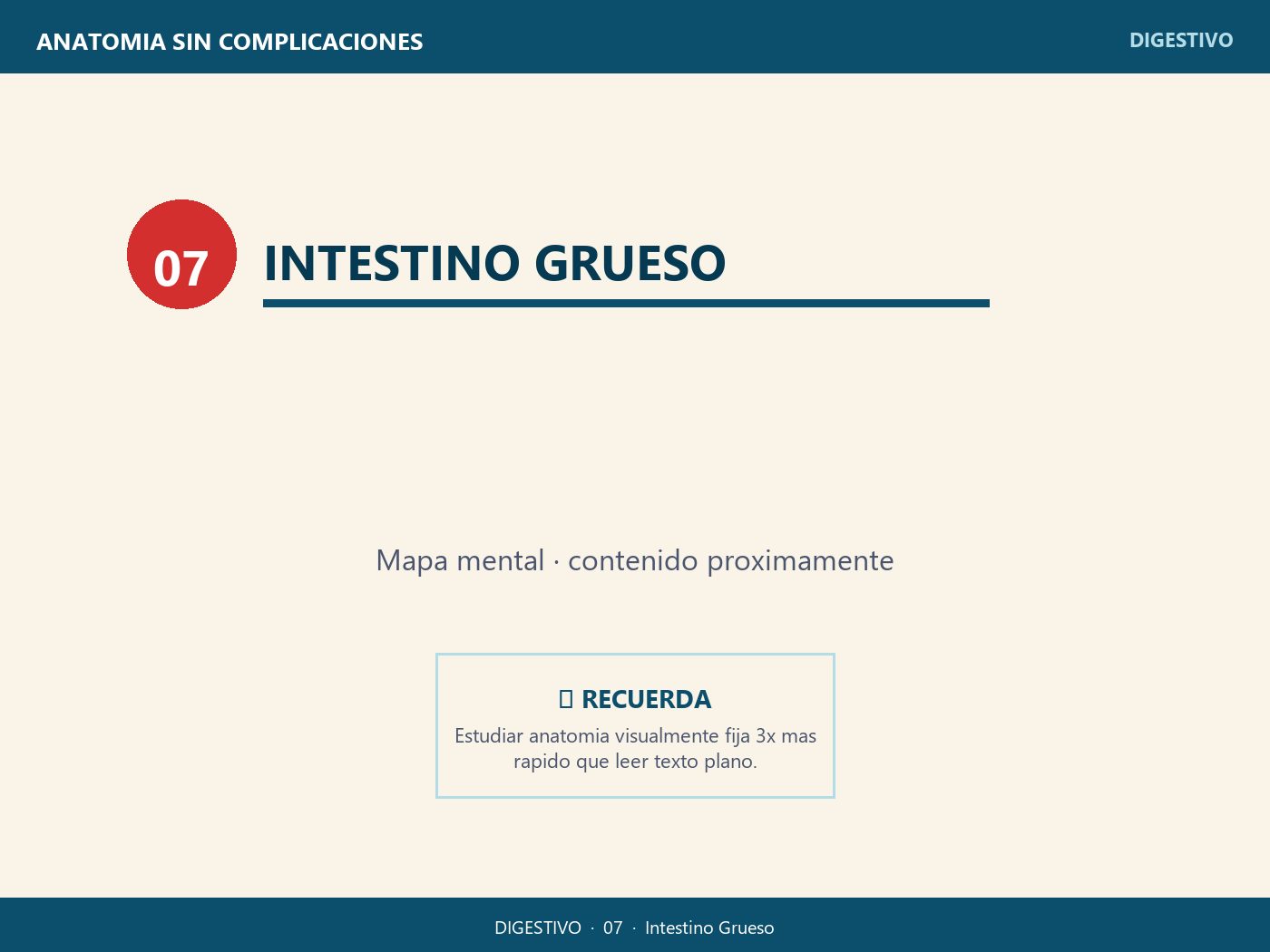 Intestino Grueso