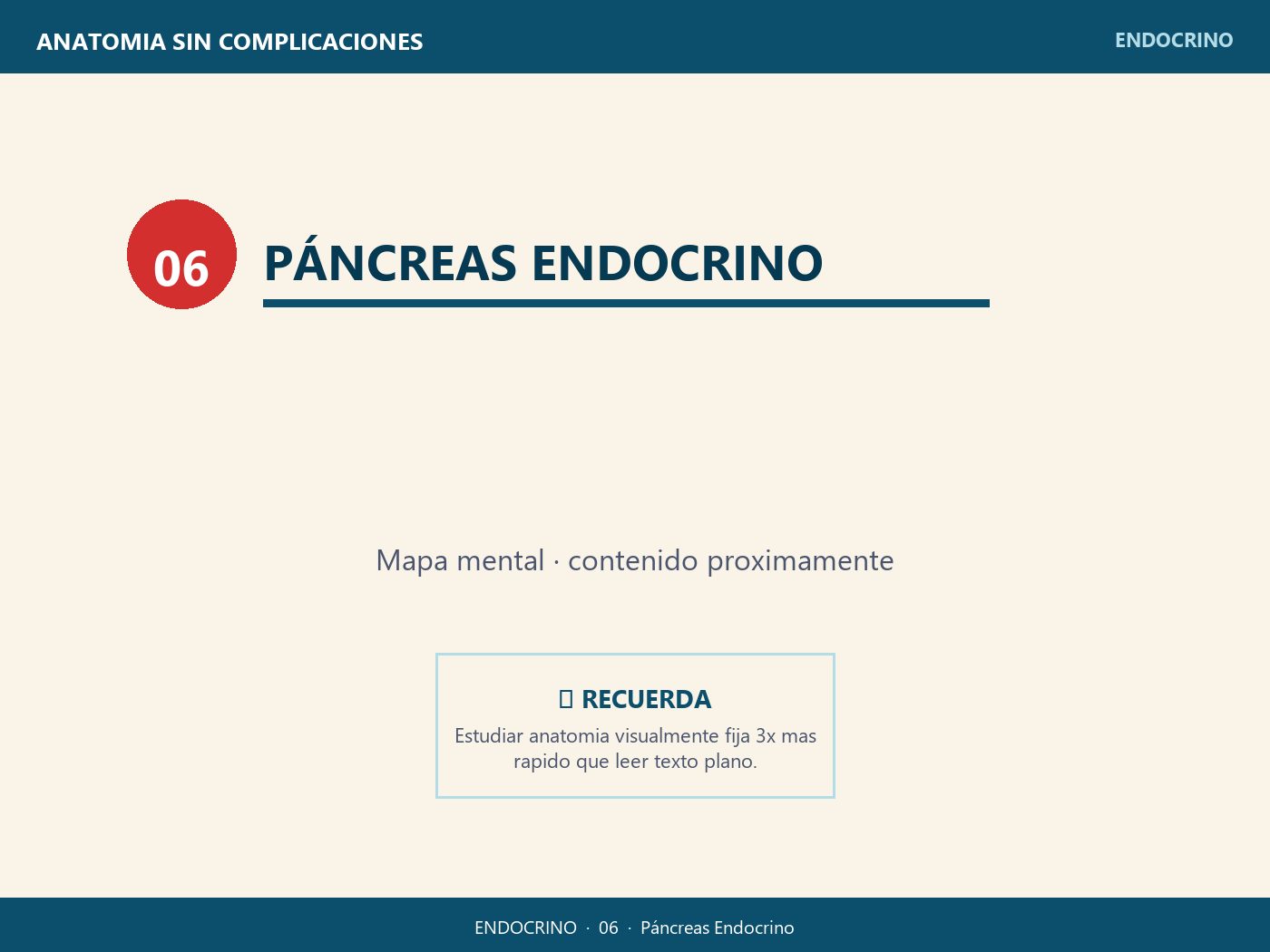 Páncreas Endocrino