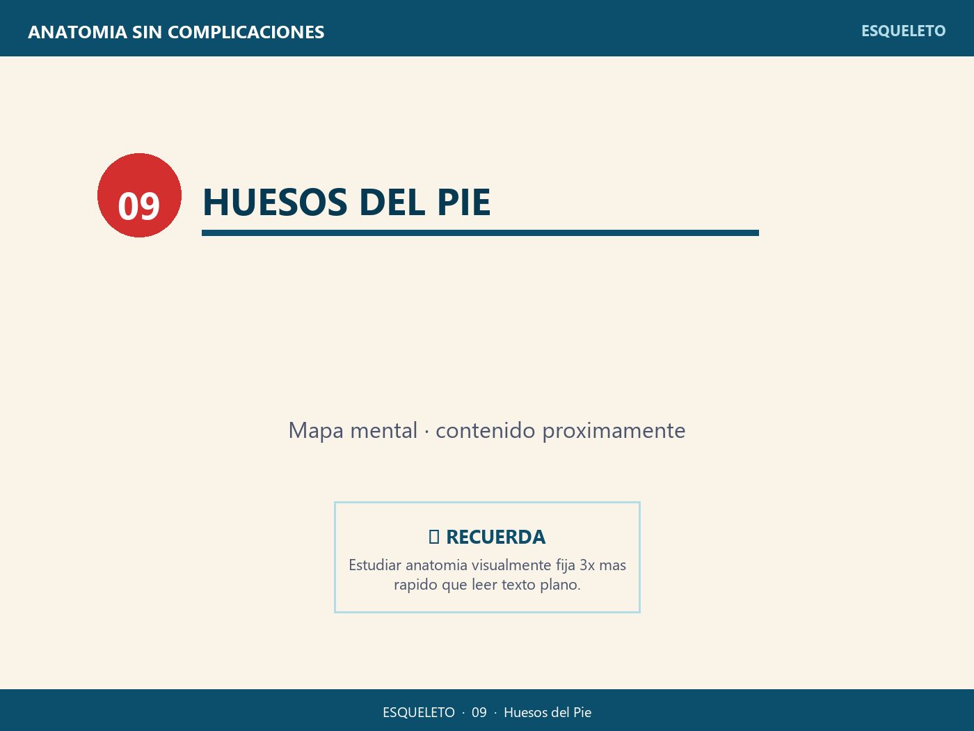 Huesos del Pie