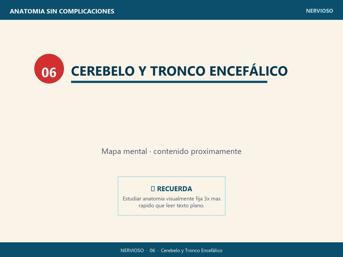 Cerebelo y Tronco Encefálico