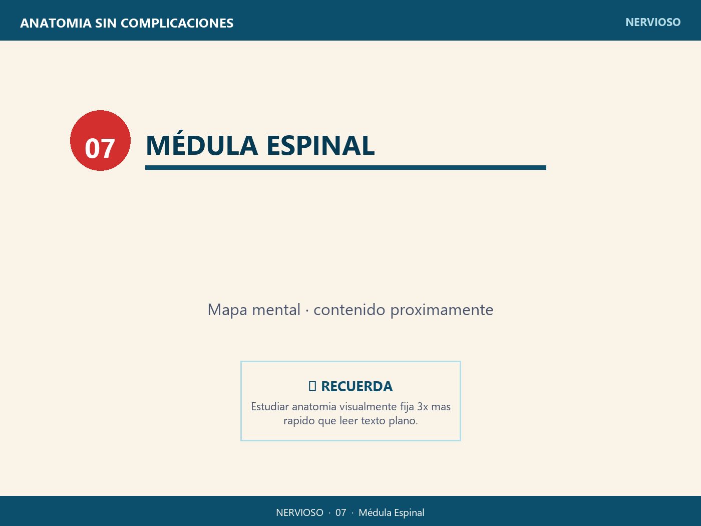 Médula Espinal