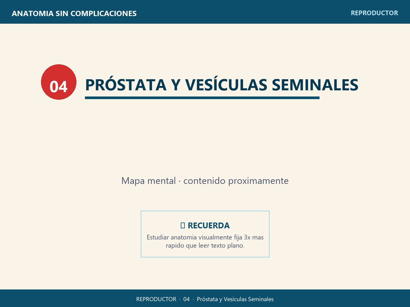 Próstata y Vesículas Seminales