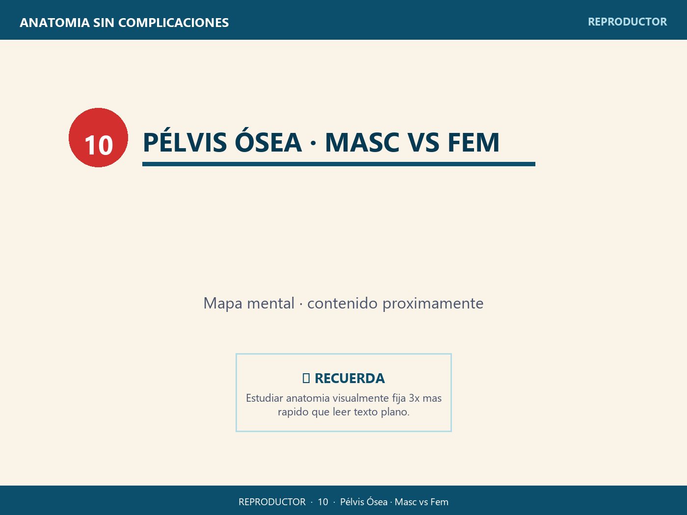 Pélvis Ósea · Masc vs Fem