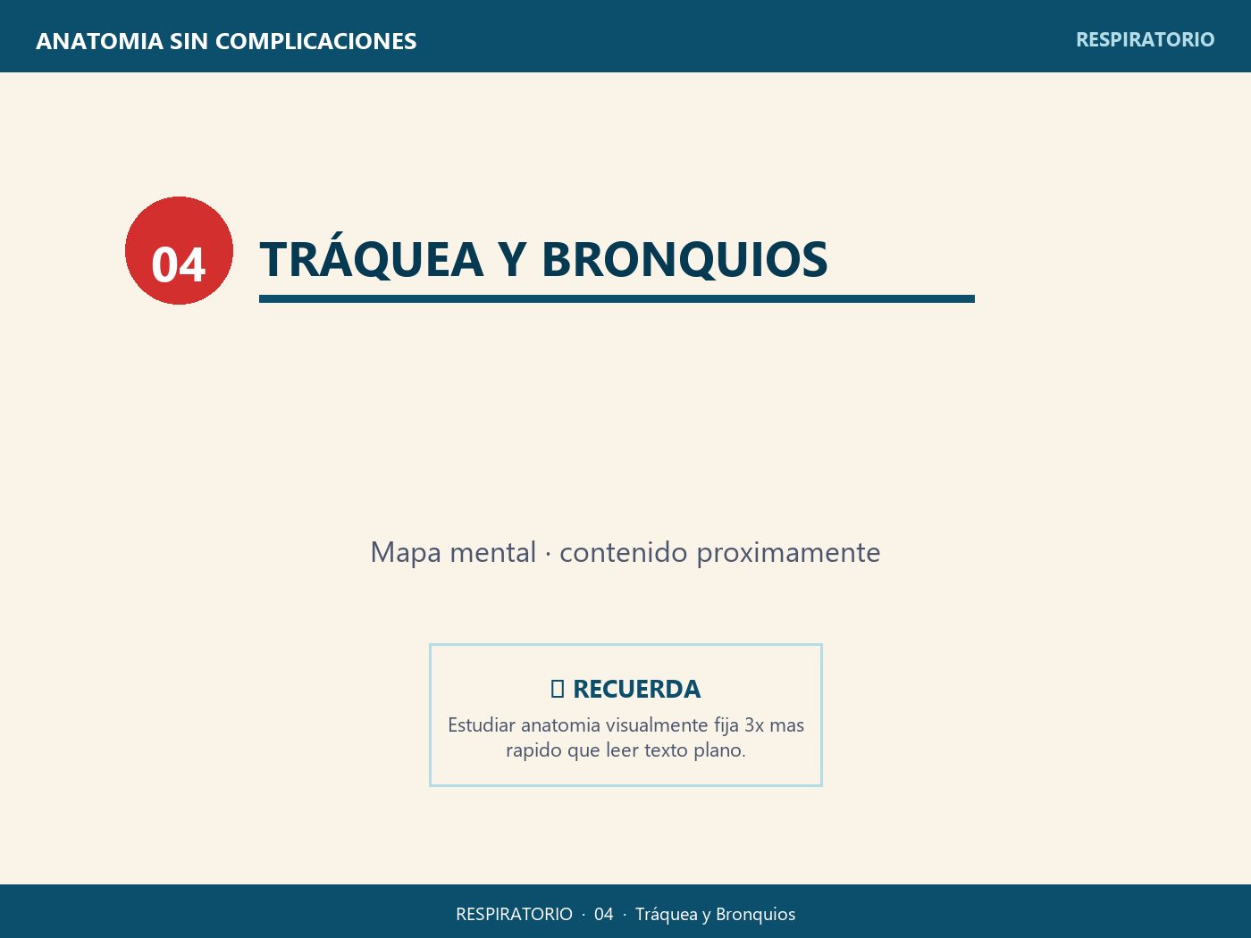 Tráquea y Bronquios