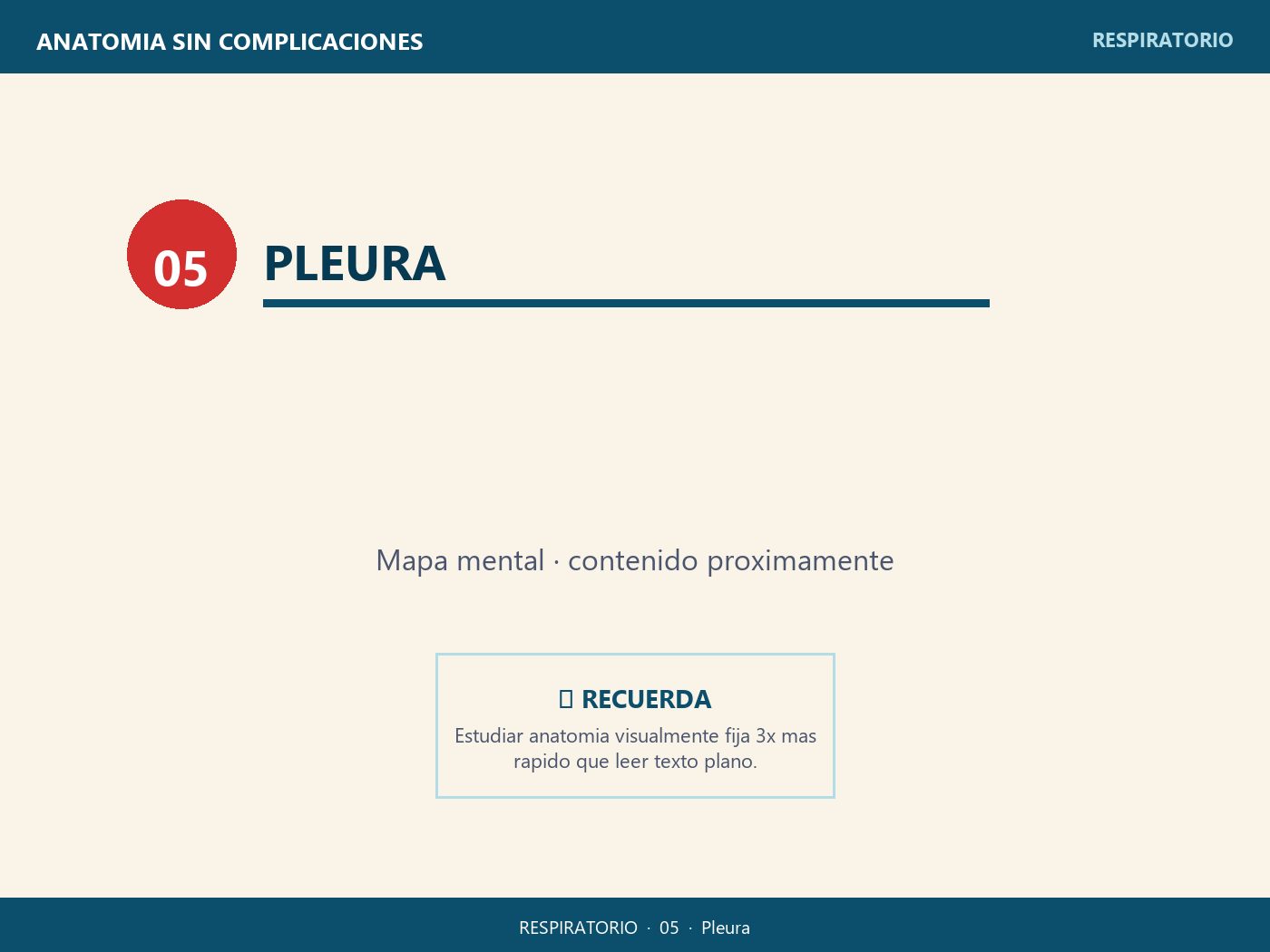 Pleura